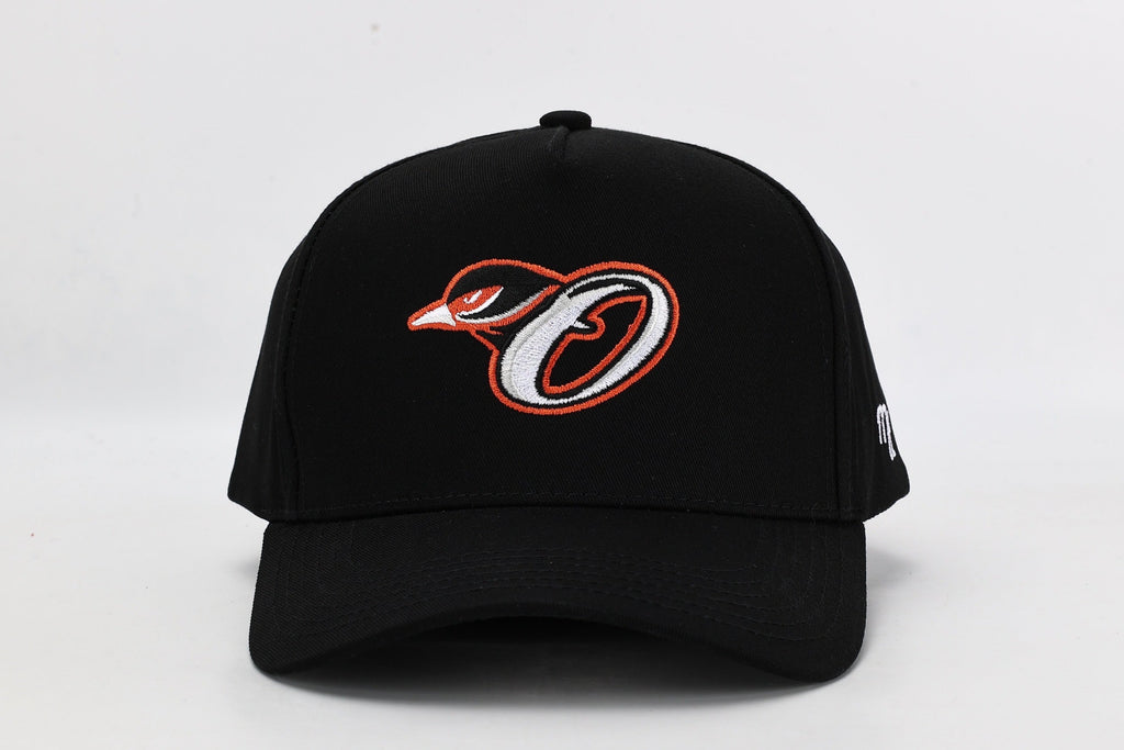 Baltimore X Toronto Snapback Hat