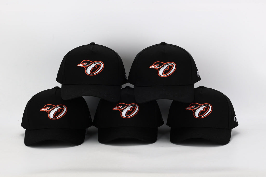 Baltimore X Toronto Snapback Hat